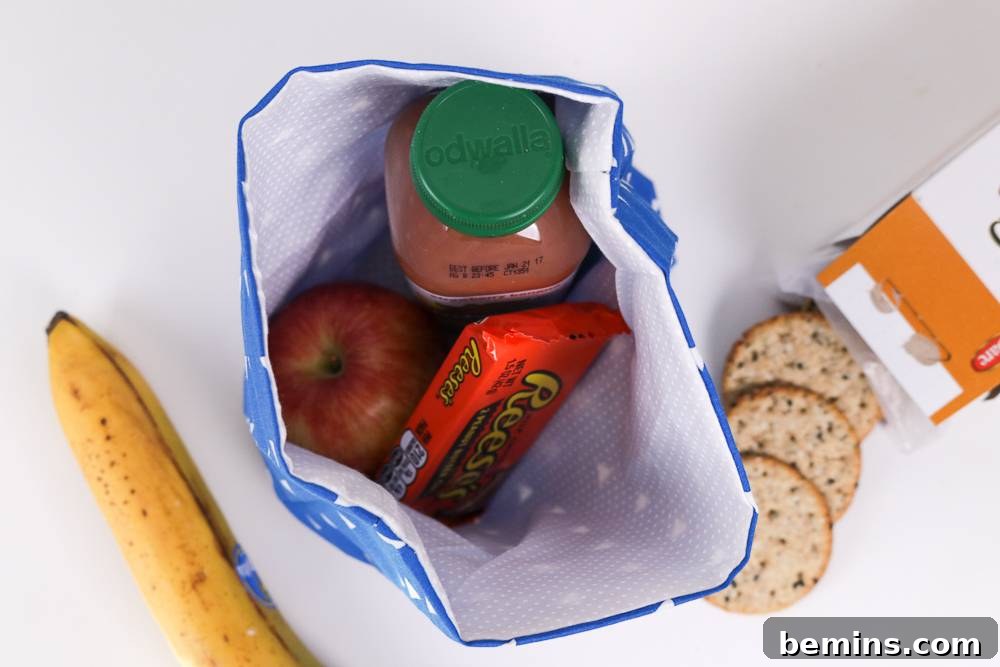 DIY Easy-Sew Lunch Bag - Finished Bag