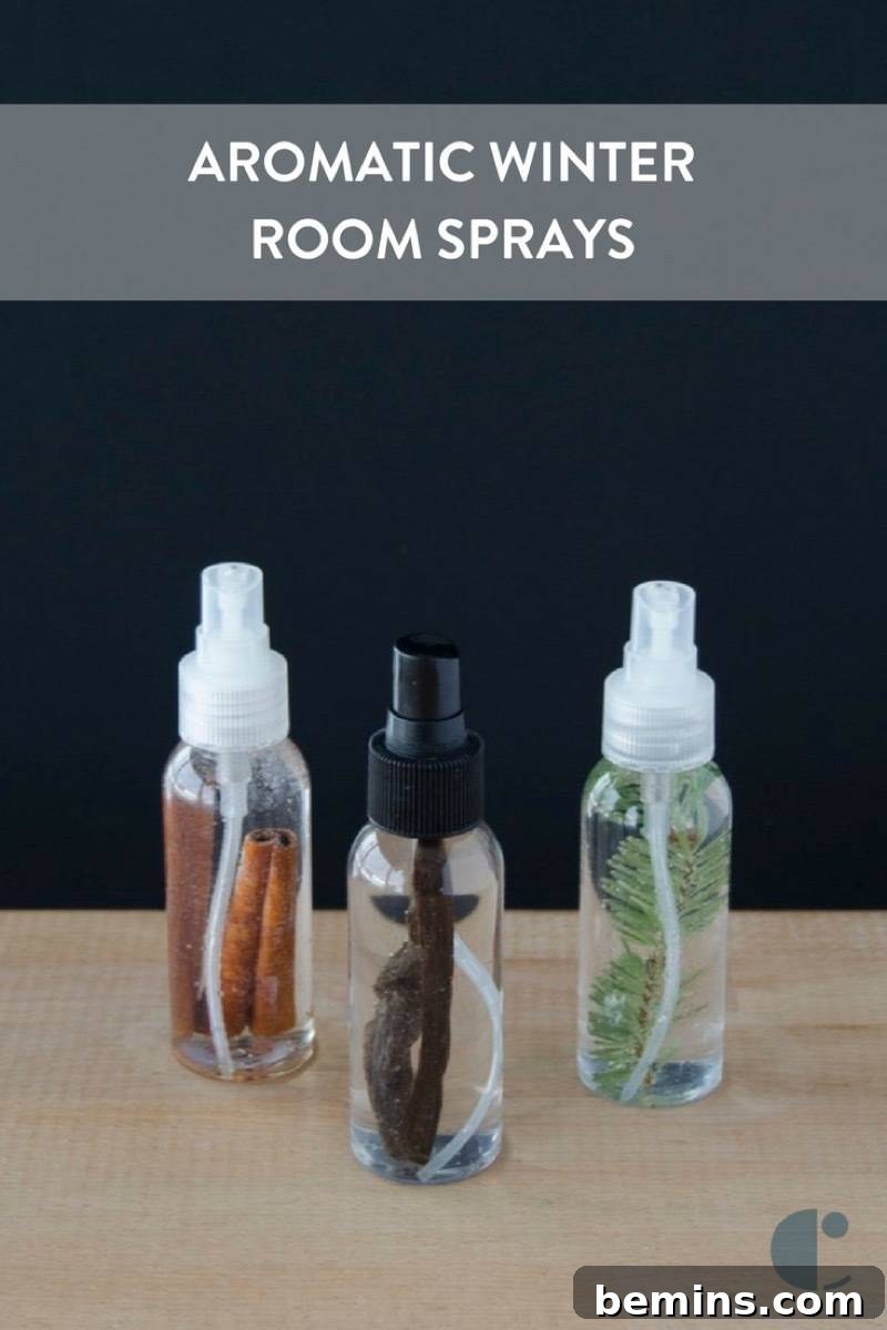 DIY Refreshing Room Spritzer: Craft Your Own Home Fragrance 8 Fragrant, wintry scents to freshen up your space