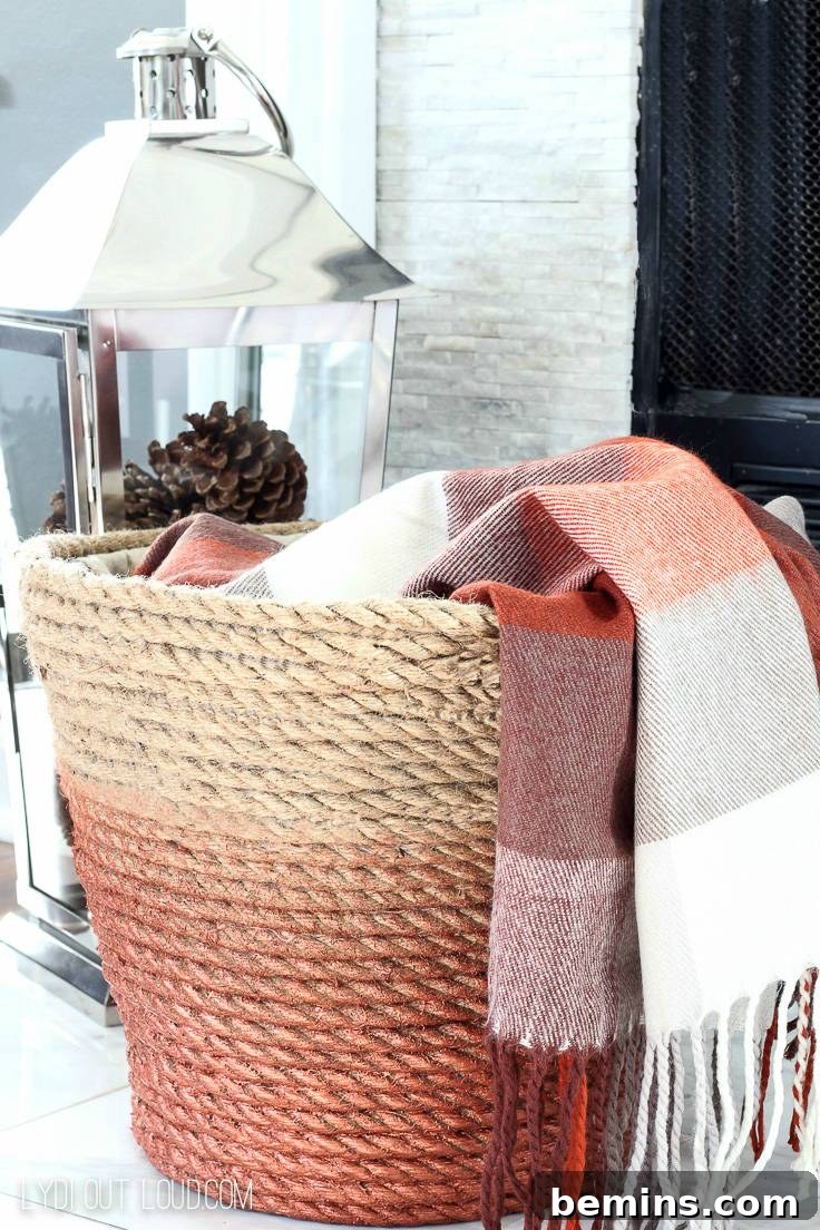 20 DIY Bins, Boxes, and Baskets for Ultimate Home Organization 10 DIY Ombre Metallic Rope Throw Basket