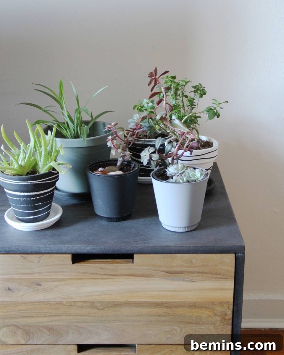 Apartment Bliss: DIY Upgrades Your Landlord Will Love 15 Landlord-friendly apartment upgrades: A little green goes a long way. Bring house plants into your space to create a homey, welcoming feel.