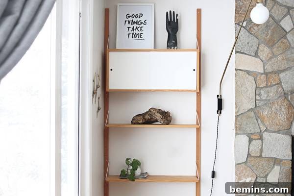 A small plant adds a touch of greenery to the shelf.