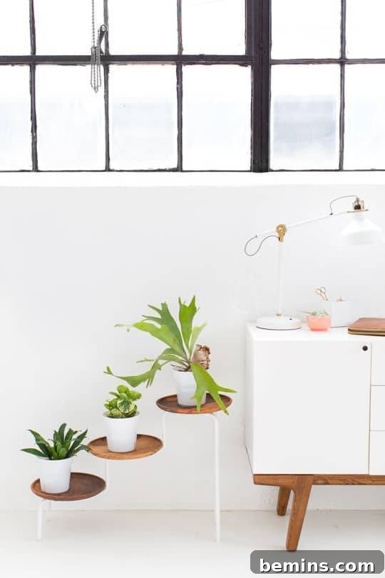 DIY Acacia Wood Plant Stand