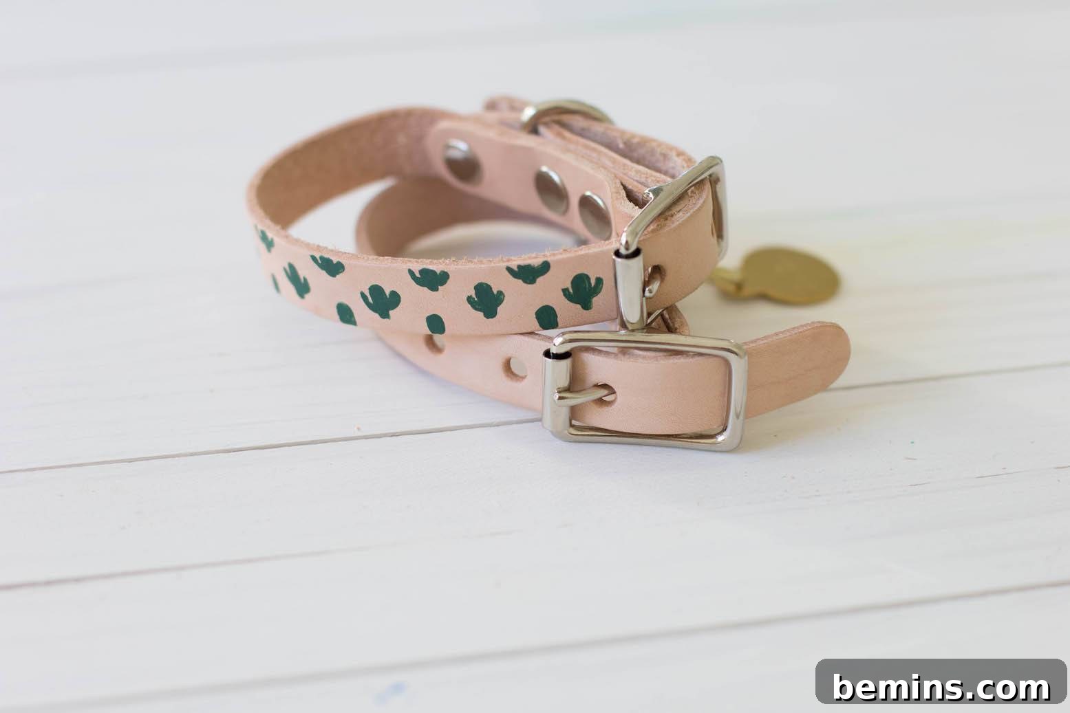 Last-Minute Valentine's Day Gifts That Will Steal Their Heart 11 Cactus Dog Collars