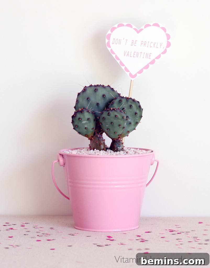 Last-Minute Valentine's Day Gifts That Will Steal Their Heart 15 Cactus Valentine Planters