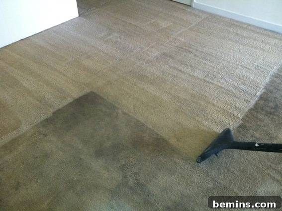 Professionally Cleaned Carpets