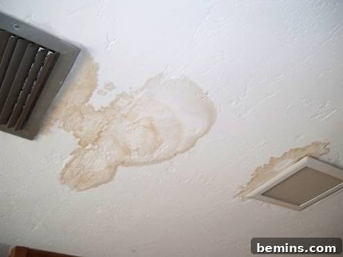 Water Damage Solution