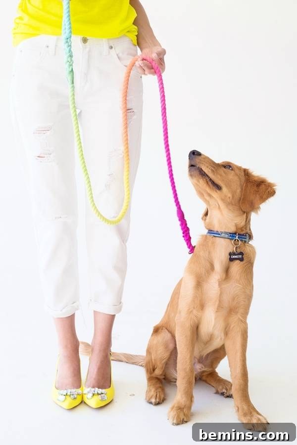 Dog wearing a vibrant DIY technicolor tie-dye leash