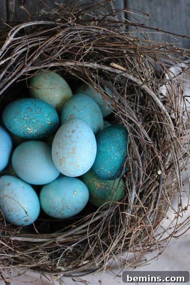 50 Creative Easter Egg Decorating Ideas 4 Dyed robin's eggs