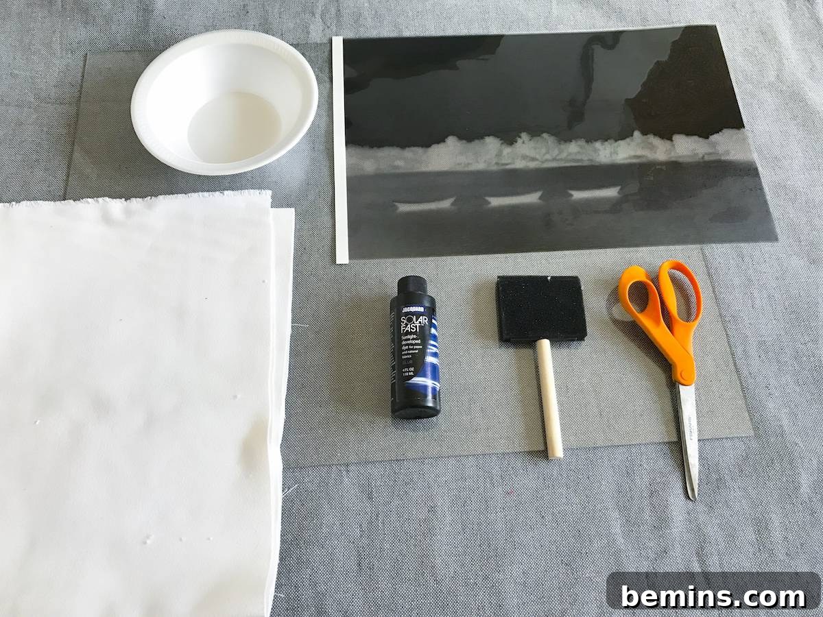 DIY Photo Pillow: Create Personalized Home Decor with Sun Printing 3 Materials Needed for DIY Light-Sensitive Pillow Project