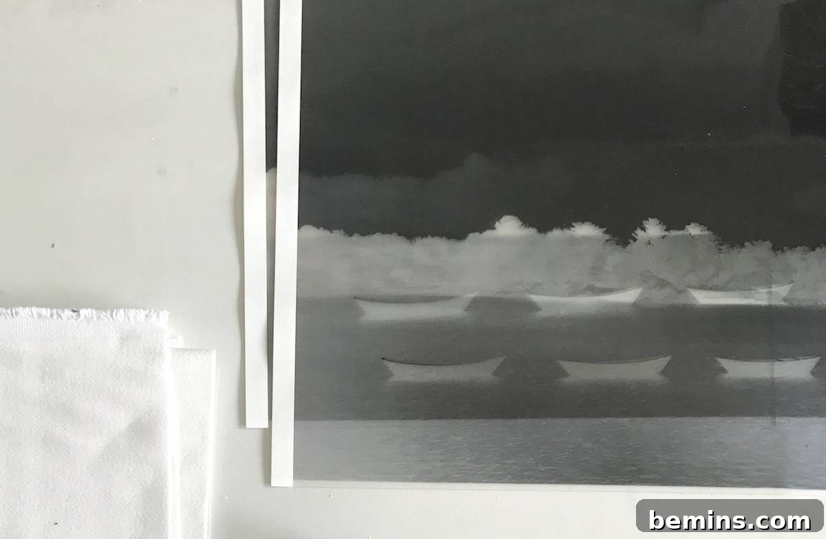 DIY Photo Pillow: Create Personalized Home Decor with Sun Printing 8 Printing the Negative Image on Transparency Paper