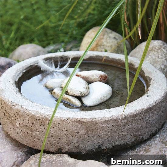 Elegant Concrete Birdbath for Garden Sanctuary