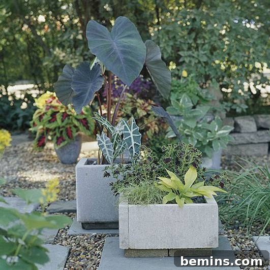 No-Mix Concrete Planter Boxes DIY