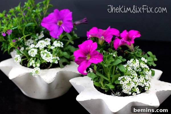 Unique Scalloped Concrete Planters from Thrift Store Finds