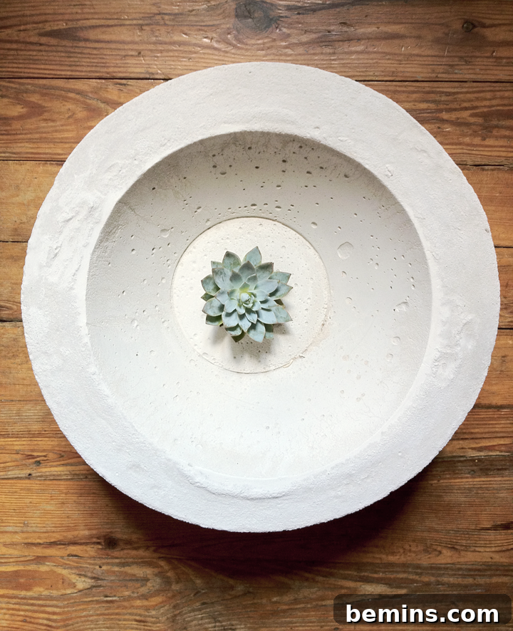 Oversized Concrete Bowl Planter Tutorial