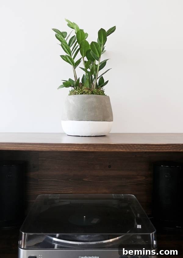 A minimalist living room featuring a West Elm couch, handmade coffee table, and an Anthropologie vase, bathed in natural light.