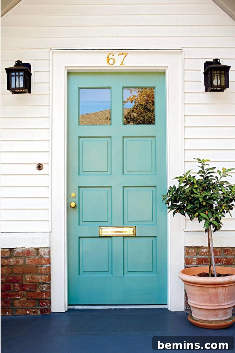 Aqua Front Door