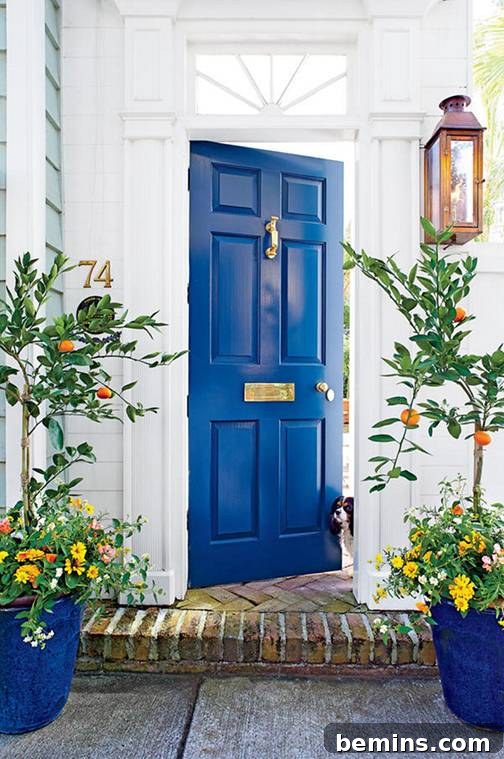 Lush Blue Front Door