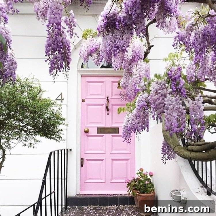 Pink Front Door