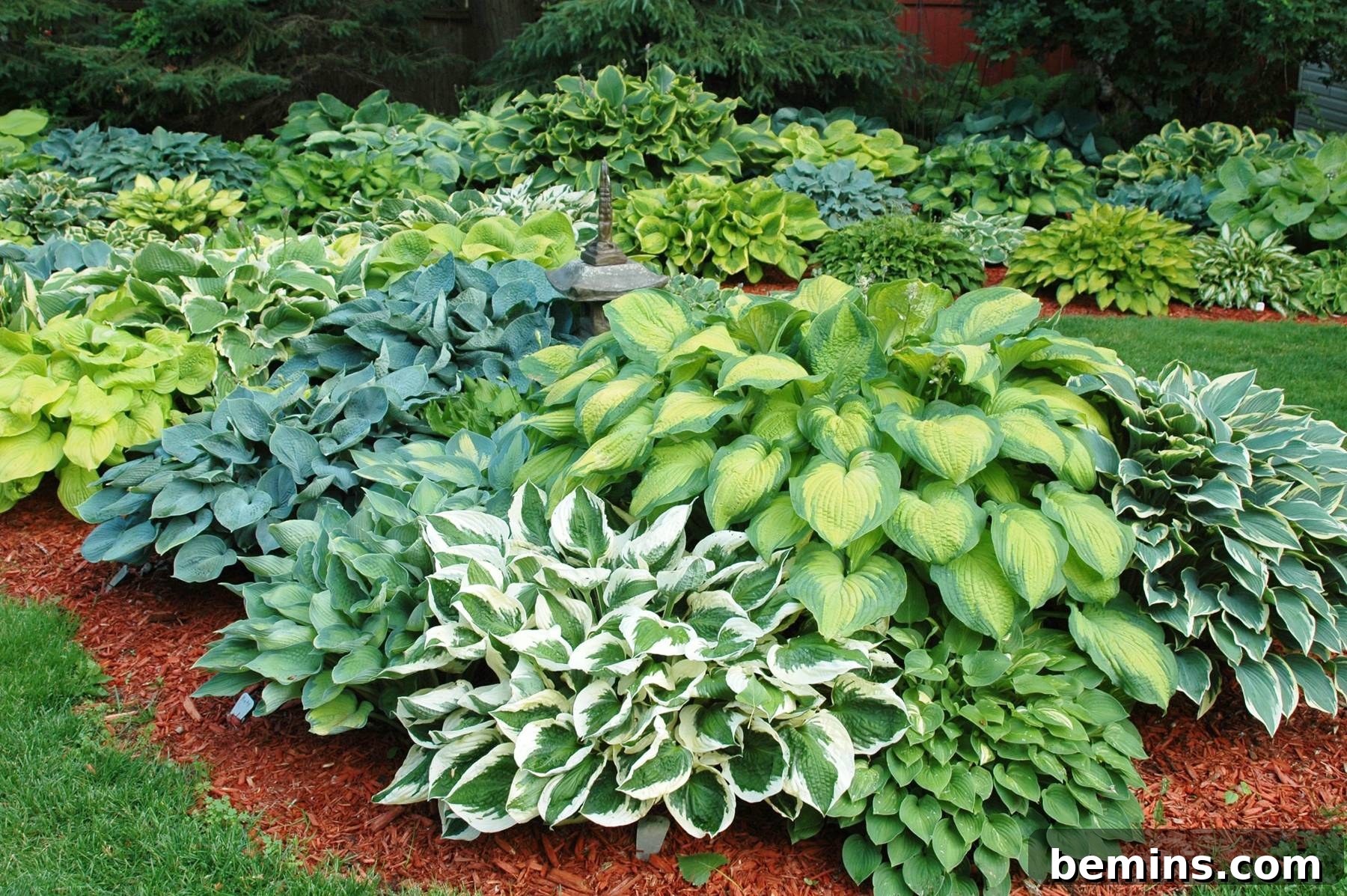 Northeast's Easiest Outdoor Plants: A Sure-Fire Selection 4 Lush Green Hostas in a Shady Garden