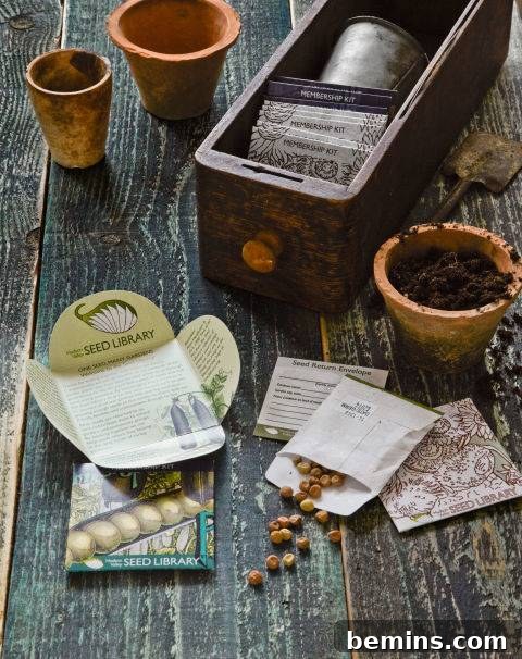 Growing plants from seeds