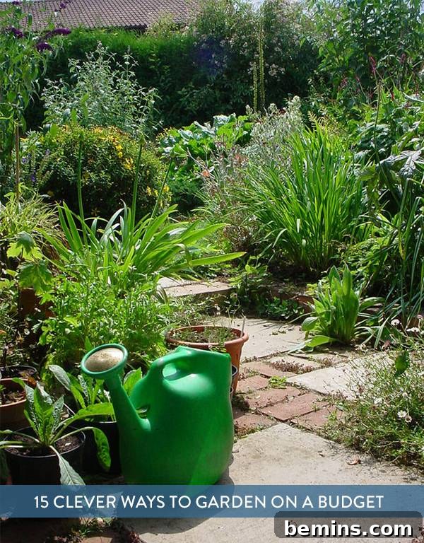 Successful budget gardening