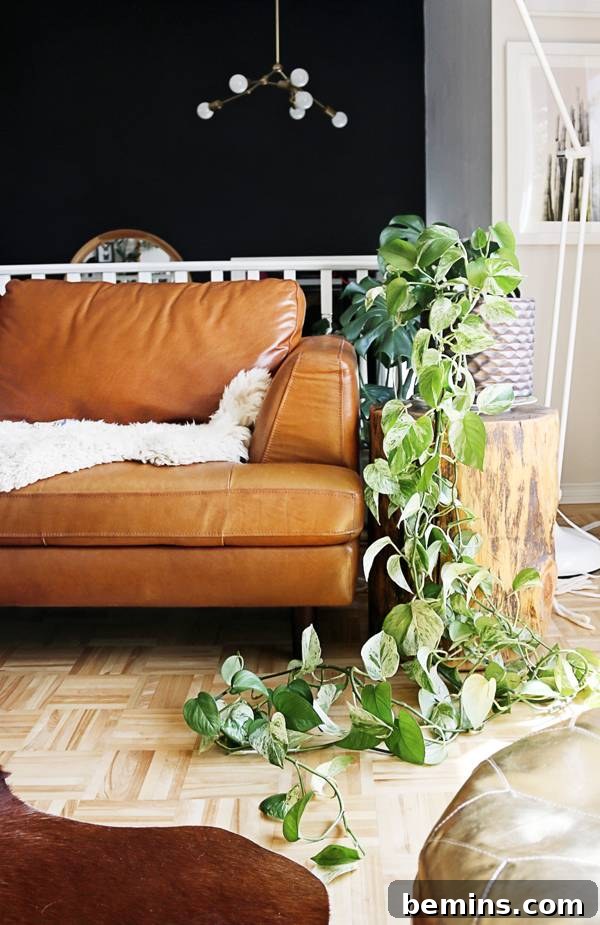 A plant adding natural texture to a living room