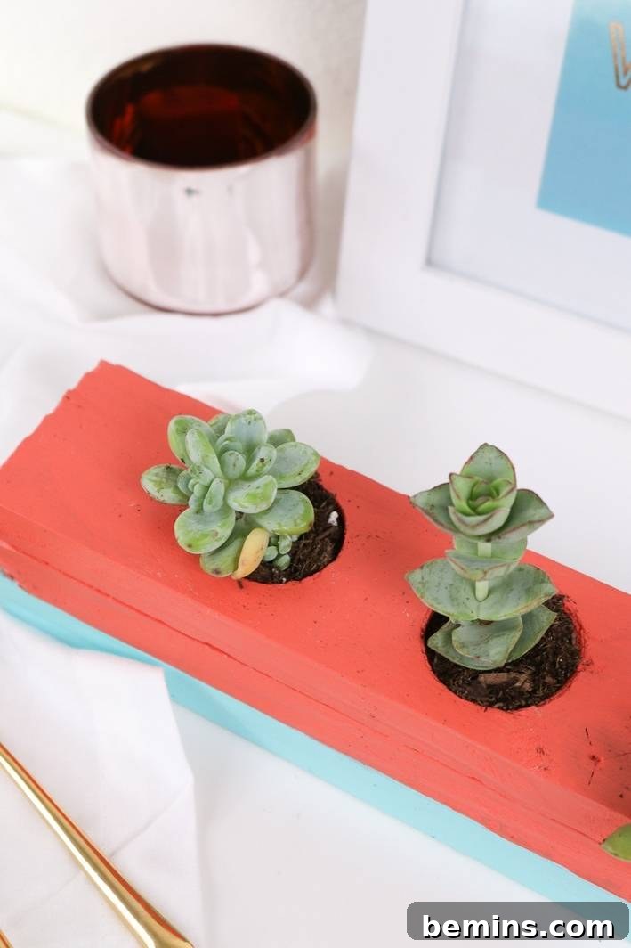 Wood Succulent Centerpiece