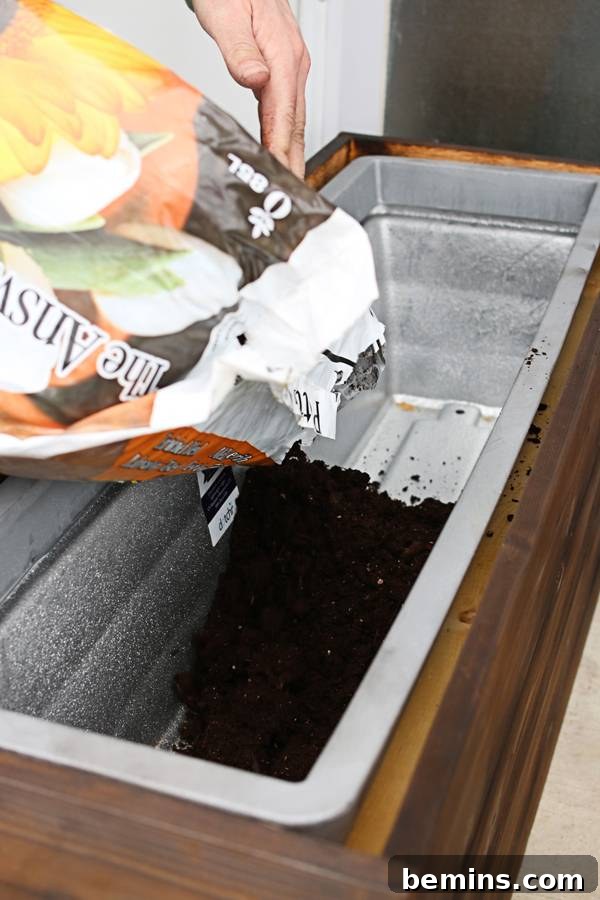 Adding garden soil