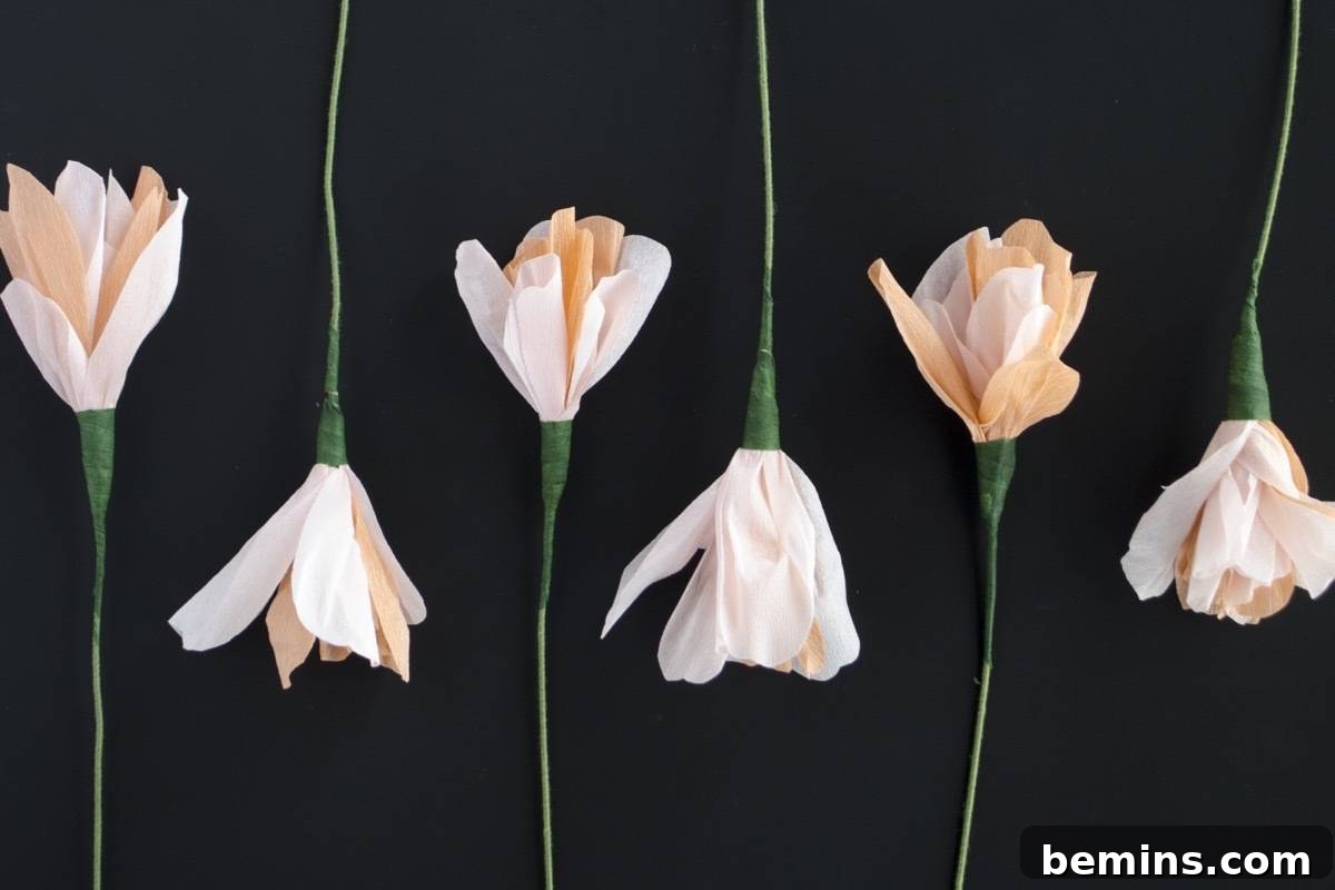 Learn how to make crepe paper carnations