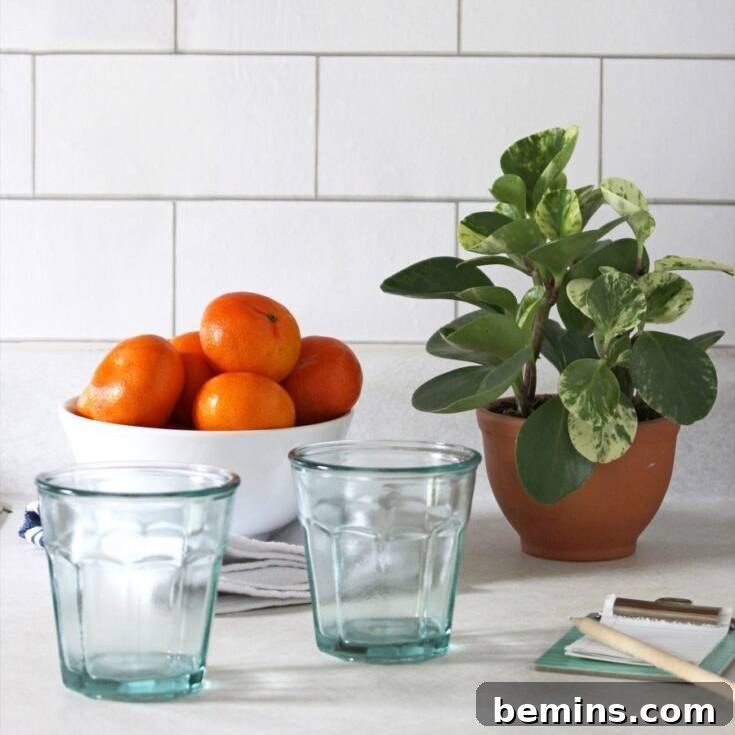 vinyl backsplash with a fruit bowl on the counter.