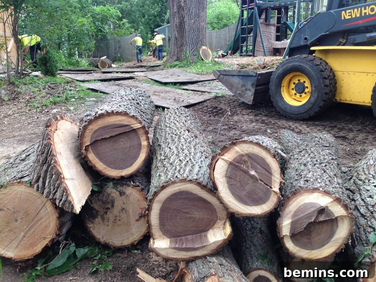 A Stunning Walnut Stump Side Table: Effortless DIY Guide 3 Freshly cut logs from a walnut tree