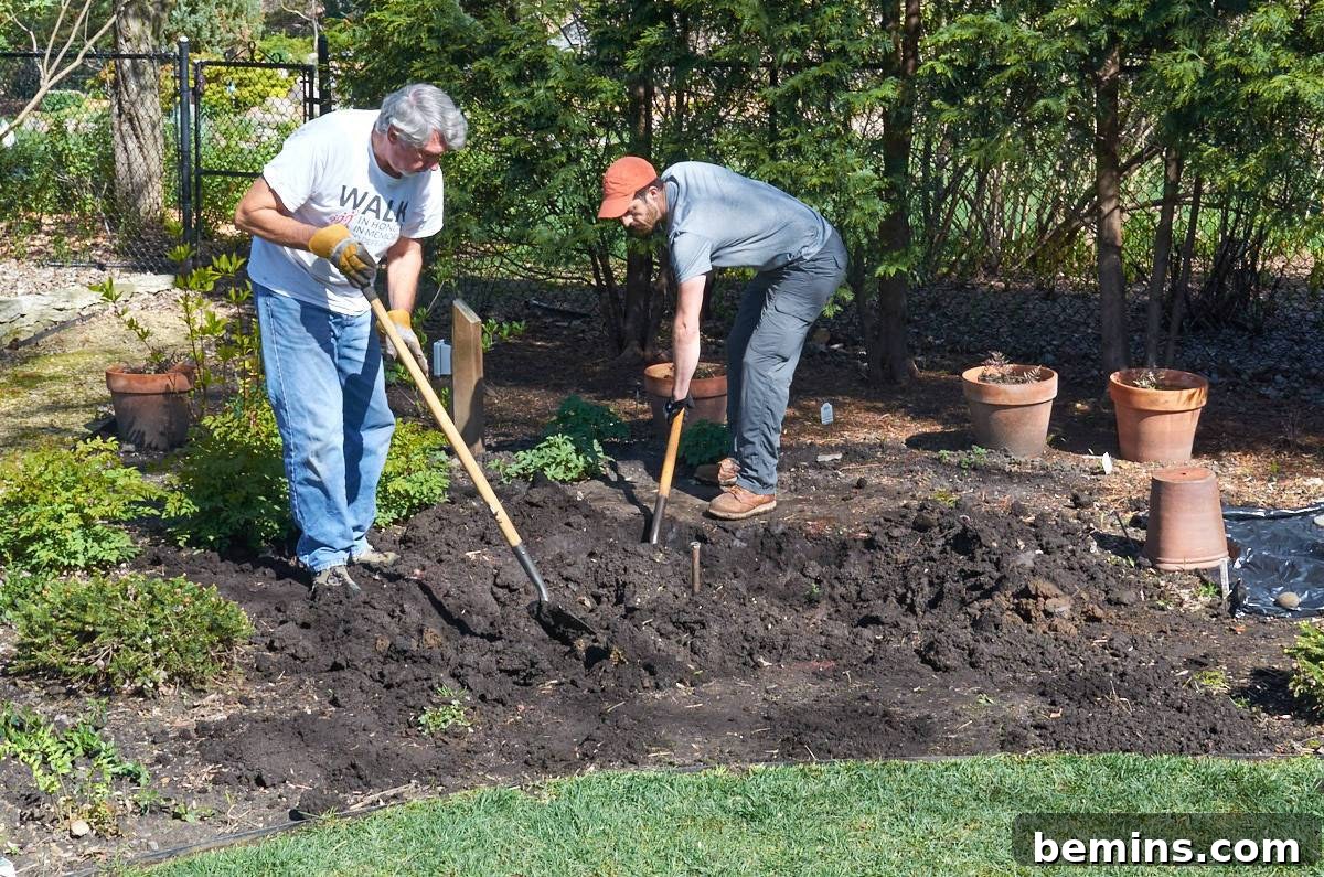 Creating a Backyard Oasis: A DIY Pond and Fountain Project 5 Two people diligently digging the hole for the backyard pond.