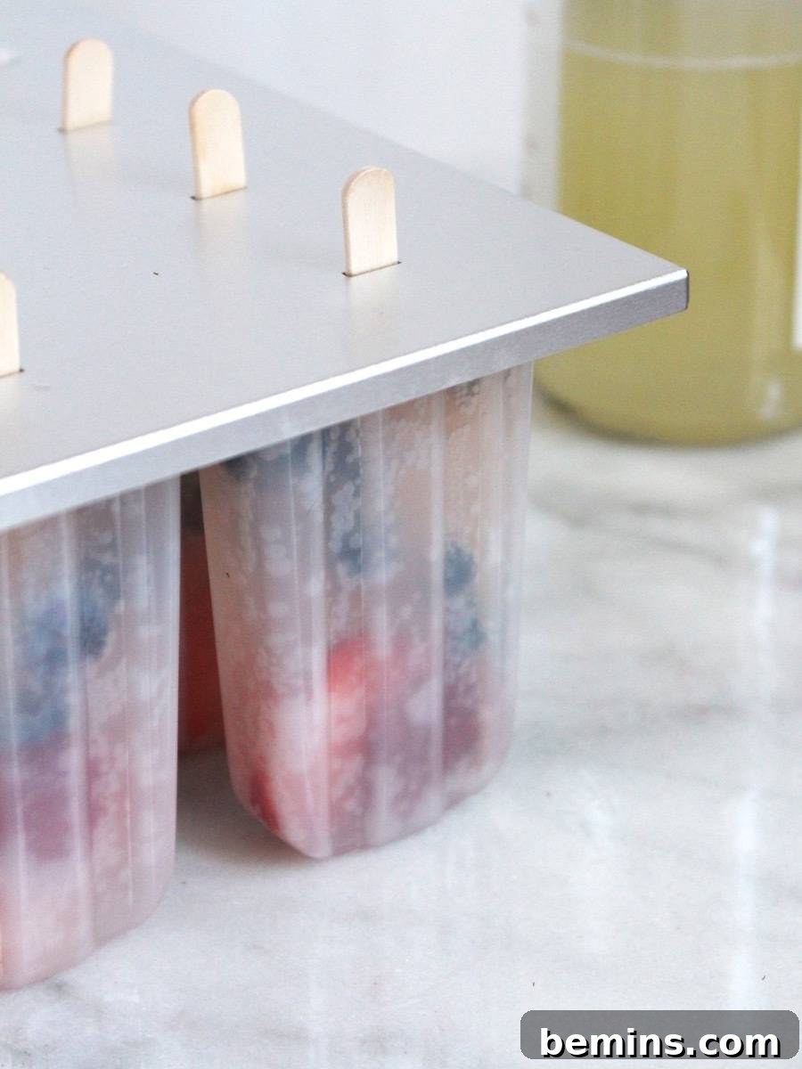 Patriotic Pops: Festive Frozen Treats for Everyone 12 Preparing the popsicle molds with strawberries and blueberries