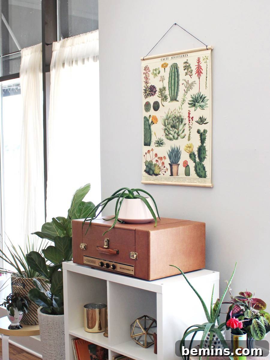 DIY Hanging Poster Frame showcasing artwork