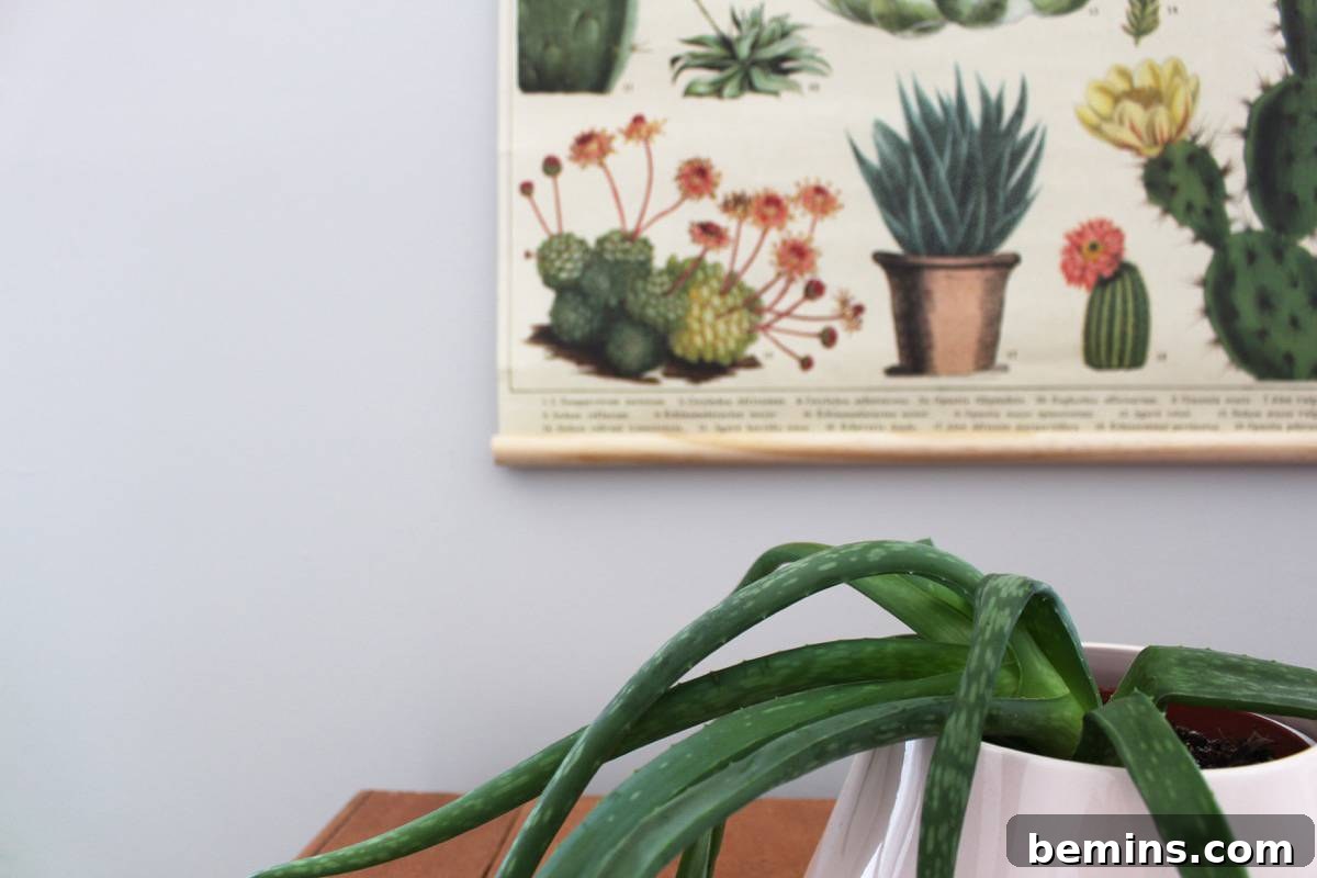 Vintage-inspired magnetic poster frame in a home setting