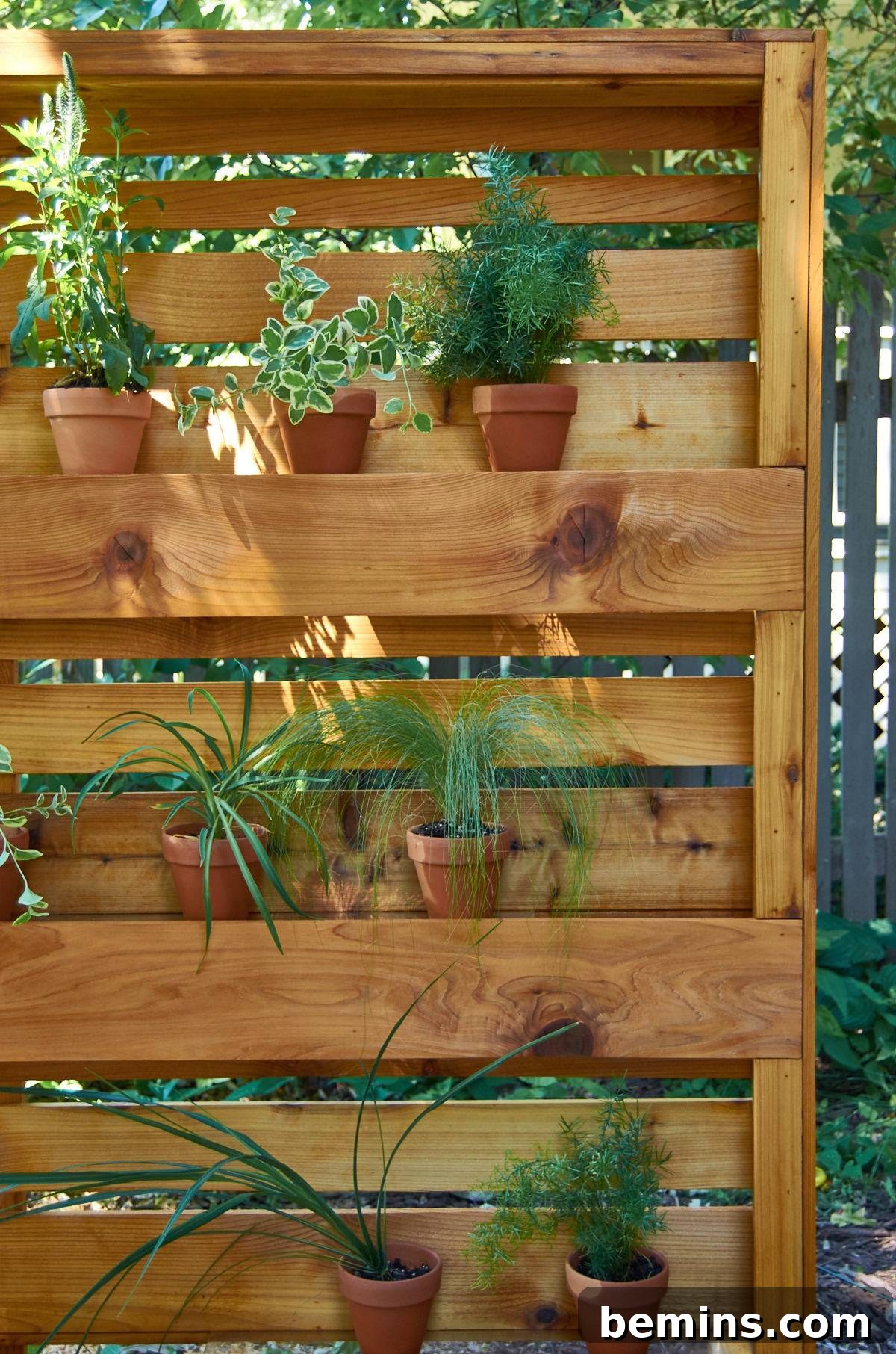 Potted plants in a wooden shelf