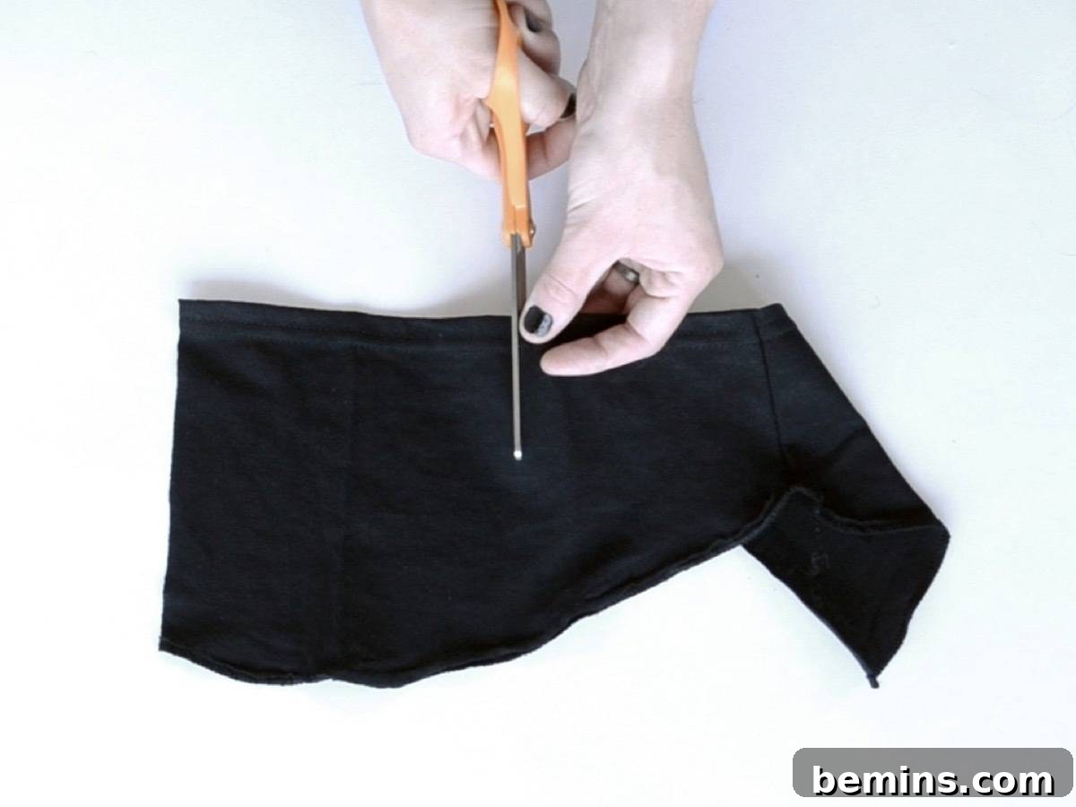 Three Creative T-Shirt Transformations 21 How to transform a regular t-shirt into a crop top with a pocket