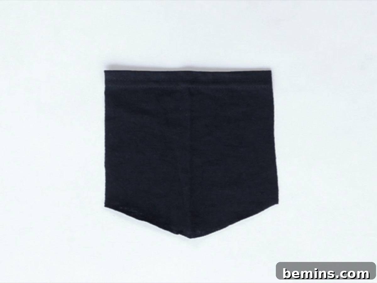 Three Creative T-Shirt Transformations 22 How to transform a regular t-shirt into a crop top with a pocket
