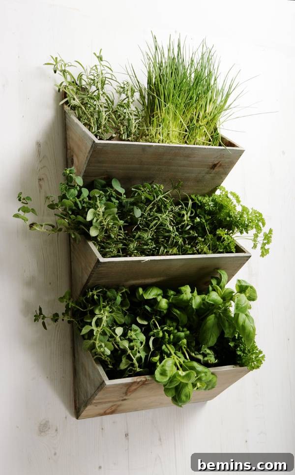 Pre-made Planters