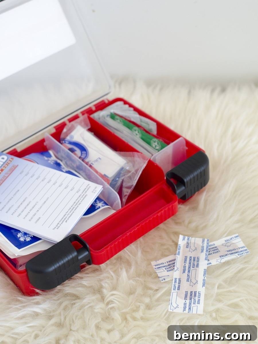 13 Dorm Essentials Your College Student Cant Live Without 13 Essential Dorm Kit: 3M First Aid Kit for Student Health and Safety