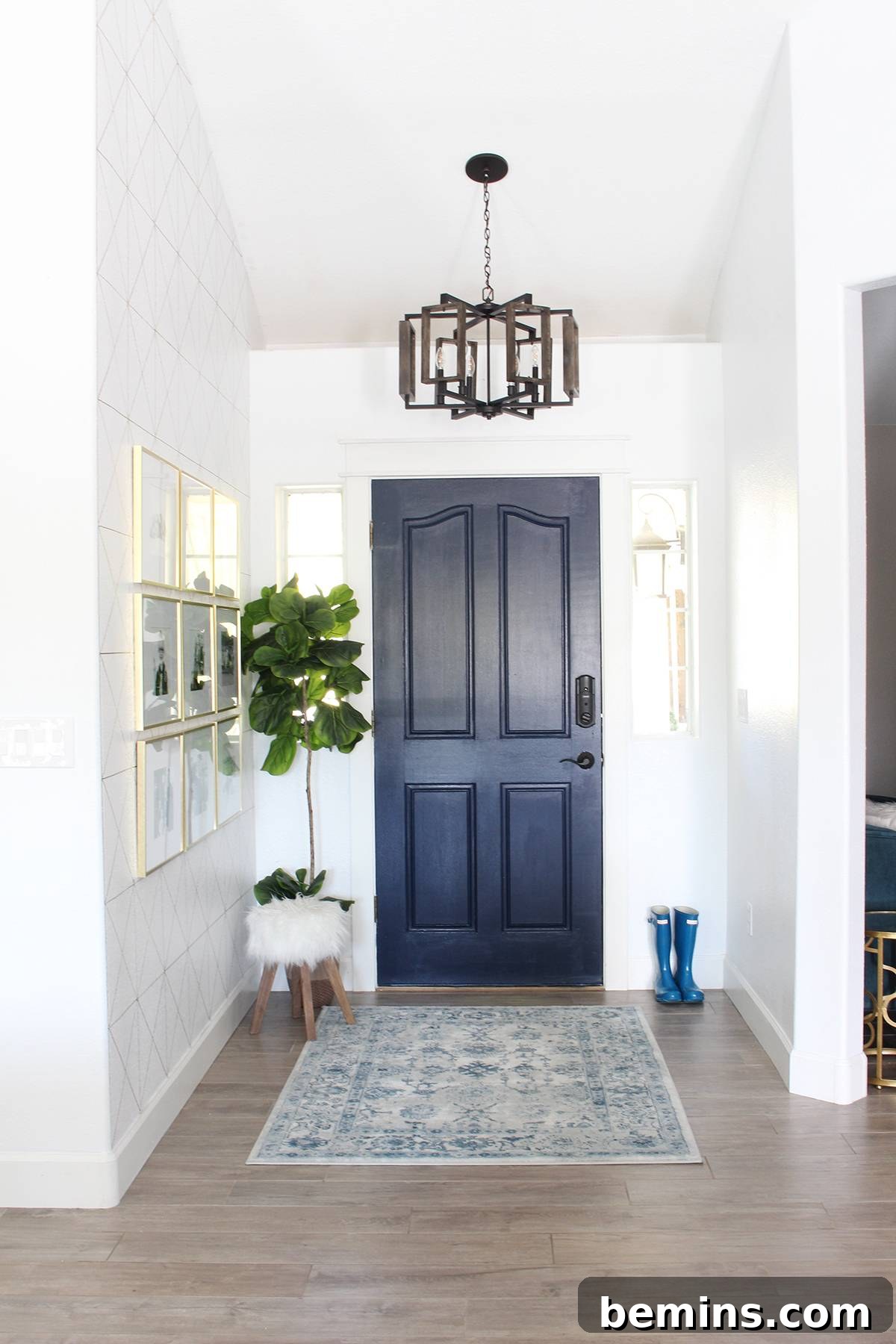 Entryway with a black door, plant, and wooden floor.