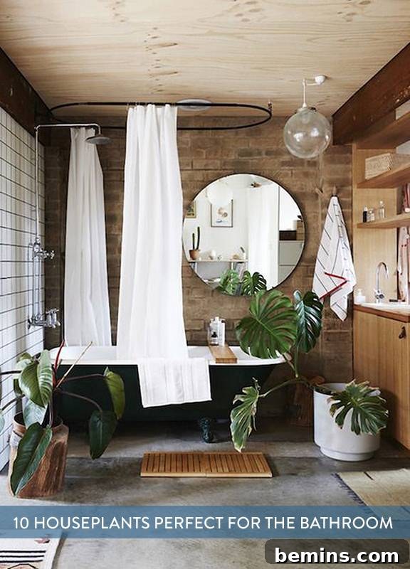 Another bathroom scene with plants
