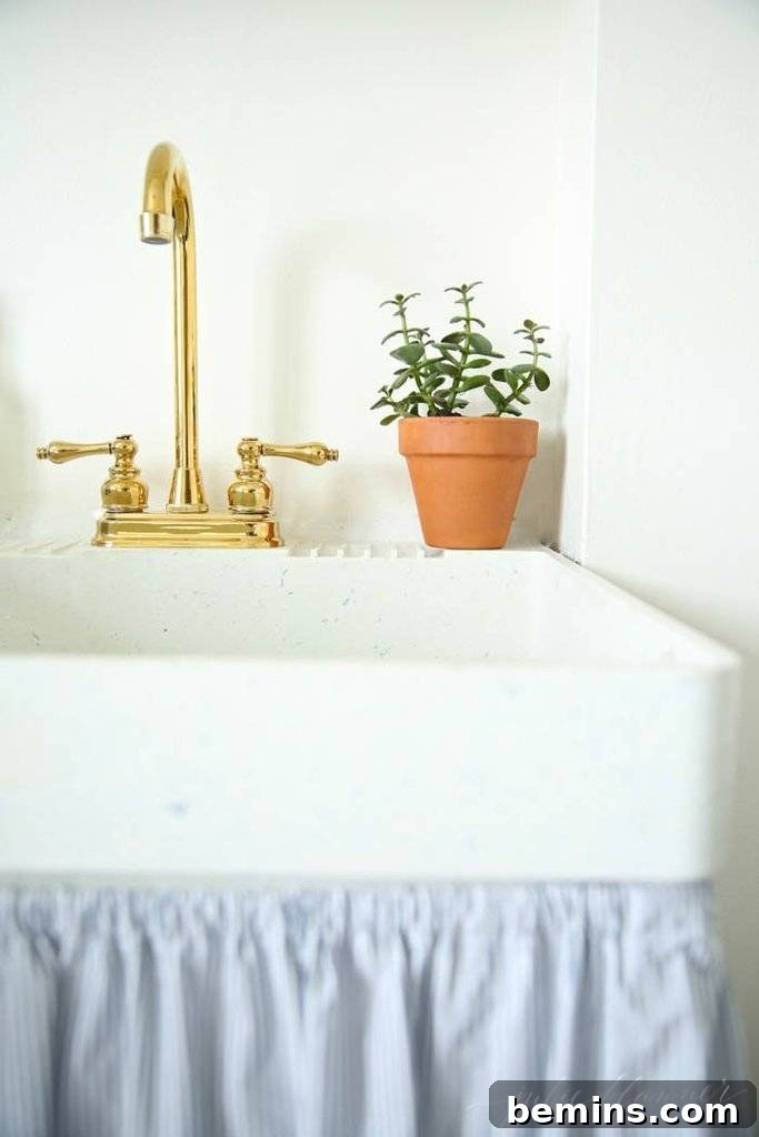 Jade plant on a windowsill