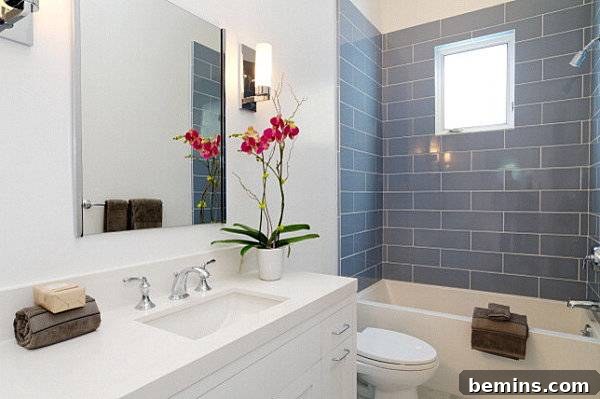 Orchid in a bathroom