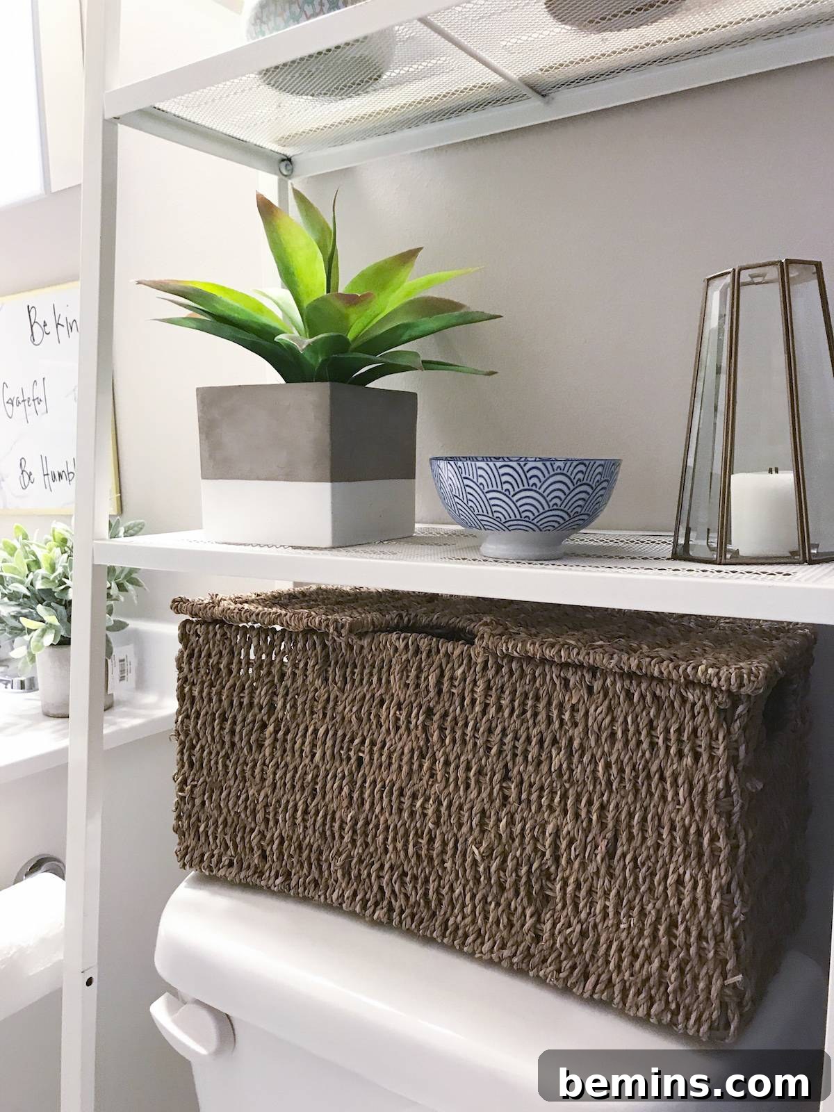 Plants in Bathroom Decor