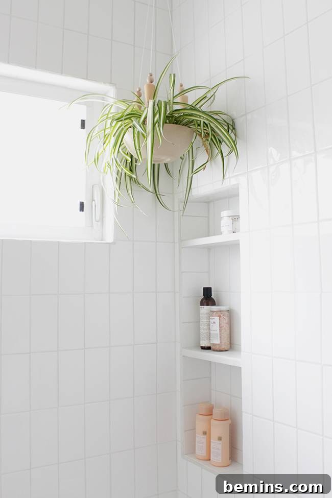 17 Stunning Bathrooms That Embrace the Shower Plant Trend 18 A white tile bathroom corner with inset shelves filled with shampoos and a spider plant hanging above.
