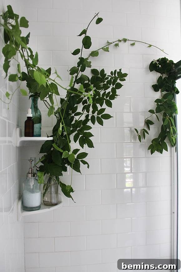17 Stunning Bathrooms That Embrace the Shower Plant Trend 3 large plant growing out of vase that is attached to a wall
