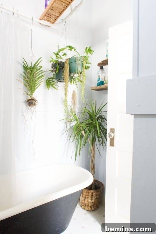 17 Stunning Bathrooms That Embrace the Shower Plant Trend 5 Several plants sit behind a black and white bathroom tub.