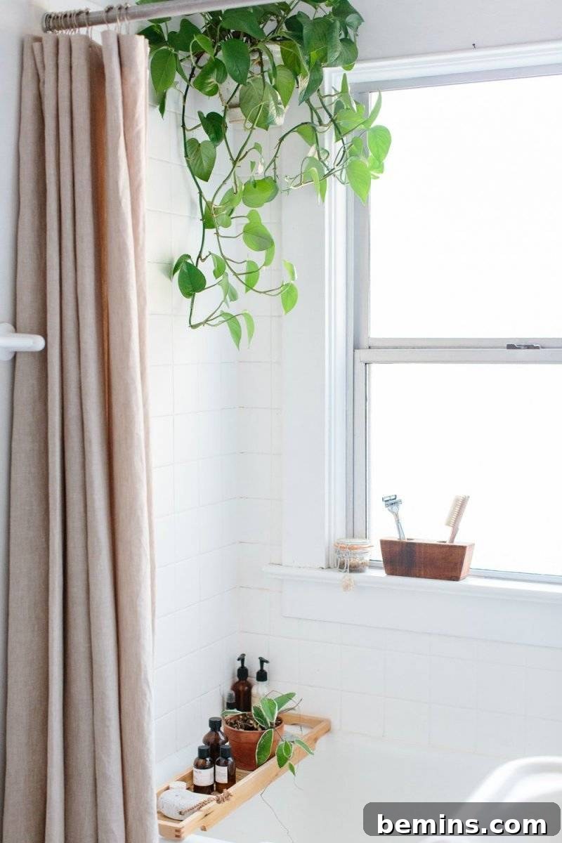 17 Stunning Bathrooms That Embrace the Shower Plant Trend 9 Light coming in through the window near a plant.