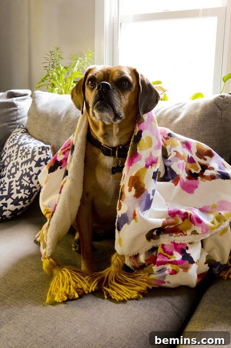 DIY throw blanket